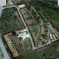 Bio Agricultural Farm with House for Sale in Parekklisia, Limassol
