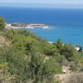 Residential Land in Pomos, Paphos District