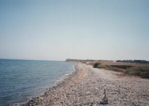 Prime Land in Mazotos for sale