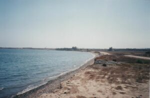 Prime Land in Mazotos for sale