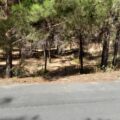 Land for sale in Kellaki Village
